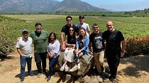 Tour Tasting Wines of Maipo Costa in Melipilla Santiago