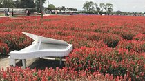 Private Taichung Instagram Day Tour from Taipei