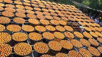 Hsinchu Sugar Culture and Dried Persimmon Experience from Taipei