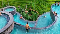 Ubud Monkey Forest Sanctuary Tours and Cretya 