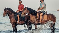 Horse Riding Experience on Black Sand Beach Bali