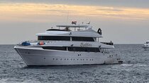 White Island and Ras Mohamed Boat Trip with Diving From Sharm