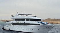 Marsa Alam: Snorkel with Sea Cows and Turtles at Marsa Mubarak