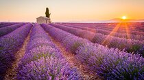 Lavender Fields and Verdon Gorge Adventure from Nice