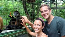 La Fortuna: Proyecto Asis Wildlife Rescue Center with transport