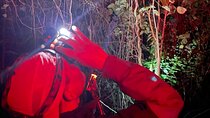 Night Watch Nature Adventure Tour