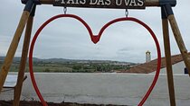 Private Tour of the Talha in Vila de Frades