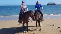Horseback Riding on the Beach 