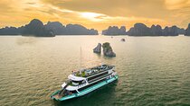 Best Halong 5 Star Day Cruise with Buffet, Pool ,Sunset party