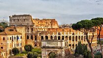 Colosseum, Forum and Palatine Hill small group tour