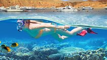 Snorkelling Adventure with Dugongs and Turtles in Marsa Mubarak