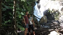 Guided Botanical Tour on the Osa Peninsula