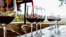 Private Wine Tour at Kingston, William Cole and Casas del Bosque 
