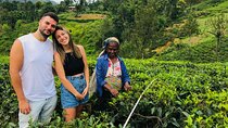 Ultimate 8-Day Sri Lanka Adventure: Private Guided Tour