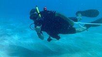 PADI Discover Scuba Dive