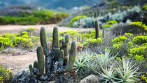 Hike in Puquén Bio-Park and Cachagua: Day Tour from Santiago