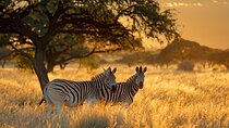 12 Days Private Safari Tour from Arusha