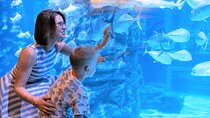 Aquaria Phuket and 4D Trickeye Museum Experience Ticket
