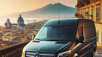 Mt. Vesuvio Excursion for 2 hours (round-trip included)