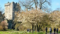 Cork to or from Dublin Private Transfer