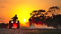  Royal Quad Safari Trip with Dinner & oriental show in Hurghada
