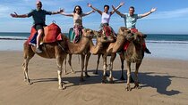4 Hours Tangier Private Tour From the Cruise Ship