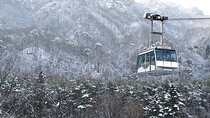 Winter Tour on Mt. Seorak Nami Island Eobi Ice Valley 