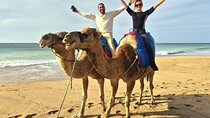Private Tour in Tangier