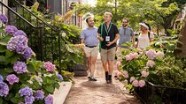 Old Town Alexandria in a Day with Round Trip Ferry Cruise