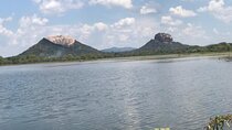 Dambulla and Sigiriya Day Tour from Colombo or Negombo