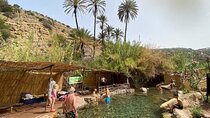 Half Day Paradise Valley Trip with Lunch