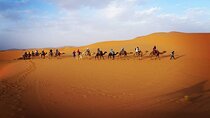 4 Days desert tour from Agadir or Taghazout to Marrakech