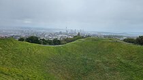 Auckland City Half Day Tour
