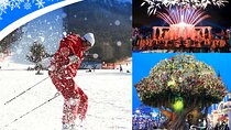 Jisan Forest Ski Resort and Everland 1 Day Tour