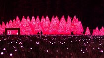 Winter One Day Tour in Pocheon with Strawberry