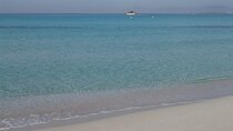 Formentera Tour from Ibiza with Transfer and Beaches