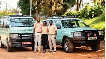 3 Day Murchison Falls Big 5 and Rhino Safari