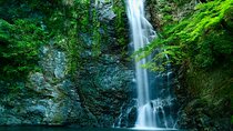 Osaka 8 Hours Tour Explore City and Minoh Falls