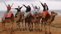Full-Day Private Guided Tour in Tangier