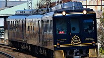 Mt Yoshino and Mt Koya Multi Day Tour From Osaka