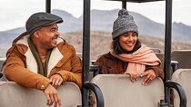 3-Day Big Five Safari Near Cape Town