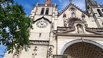 Half-Day Guided Tour in Lyon