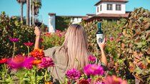 Private Wine Tour MontGras in Colchagua Valley from Santiago