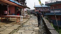 Family-Friendly Trekking: 3 Days Dhampus and Australian Camp