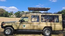 7Day Tarangire, Empakai, Olmoti Crater, Serengeti, and Ngorongoro