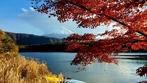 Mt. Fuji Customizable Private Tour for 9 people 