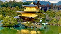 Japan 5 days Private Tours All included at Tokyo Osaka Kyoto Nara