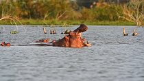 A Day to Nakuru National Park and Lake Naivasha Boat Ride