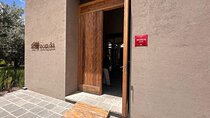 Luxury Routes: Premium Winery and Haute Cuisine in Lujan de Cuyo