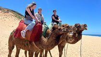 Full Day Private Tangier Tour From Tarifa All Inclusive